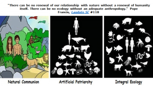 MotherPelican-1909-image
